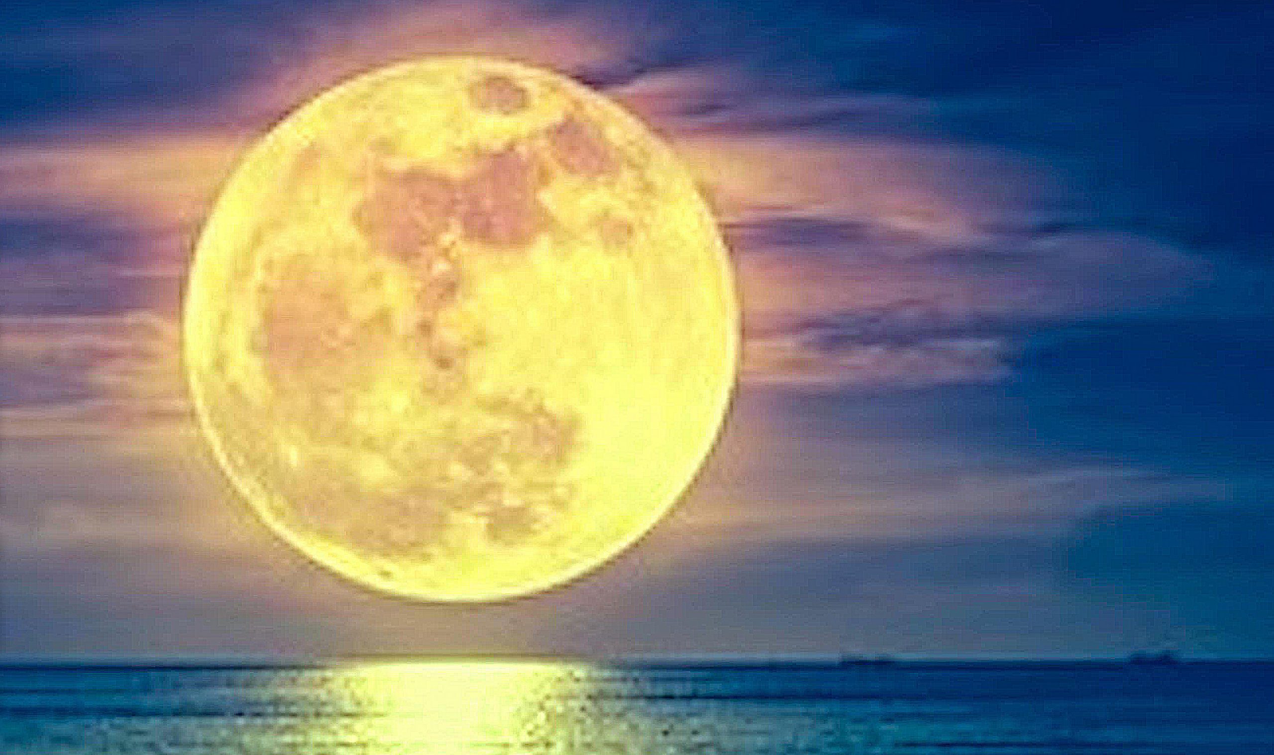 lo-dice-la-luna-eric-col-n-y-su-orquesta-newgensalsa